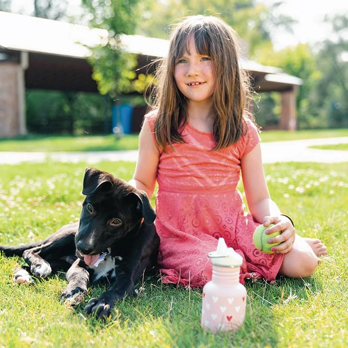 Klean Kanteen Kids Sippy Cup 335ml - Shark - Image 2